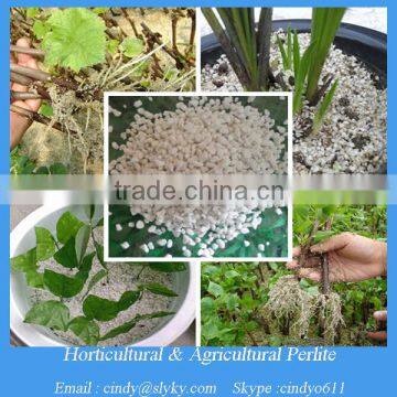 Hot sale material gardening perlite