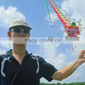 fly dragon kite