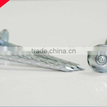 Galvanized Umbrella Head Roofing Nails With Smooth/Twist Shank by Low Price Quality Choice Most Popular photo-5
