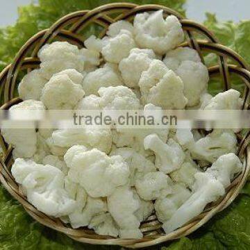 IQF CAULIFLOWER