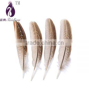 dyed Loose Brown Hard Rod wing chicken Feathers lots sale