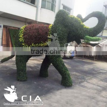 Woody garden green boxwood statue artificial elephant topiary