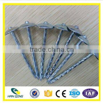 Roofing Nail Factory 3 Inch Electro Galvanized Twisted Shank photo-3