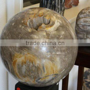 Petrified wood decoration Ball/Sphere