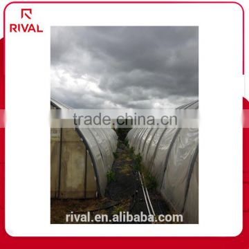 Strong durable polyethylene green house film cover