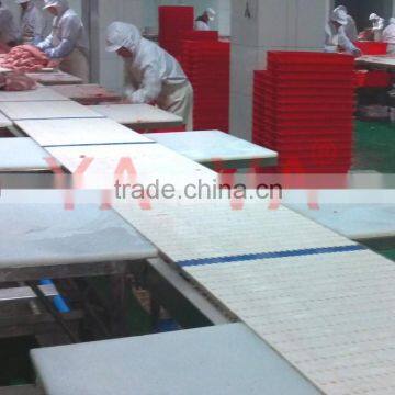 Plastic Modular Belt Manufacuturer in China photo-3