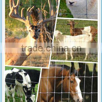 Cheap Agricutural Field Fence, Cattle Fence, animal fence from China Factory Price