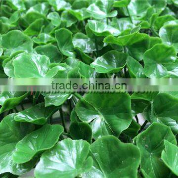 Garden Landscaping Artificial Grass Tile Artificial Green Hedge Fence Quality Choice photo-4