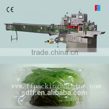 vegetable packing machine equipment