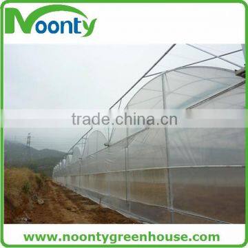 Professional Greenhouse Project Commercial Hydroponic Systems photo-3