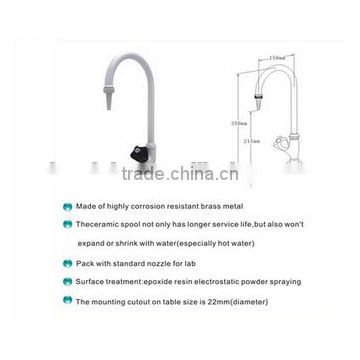 Bench Mounted 1-way High Head Lab Water Faucet in Physics/Chemistry/Maths Laboratory