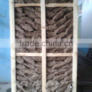 High Quality 5kg Gunny Bag Fresh Chinese Chestnut for Jordan photo-4