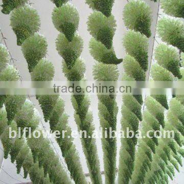 plastic eremurus foxtail