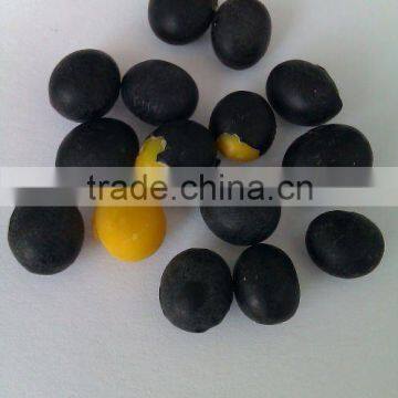 Organic Black Soybean( yellow inside, 2010 crop, Heilongjiang origin)