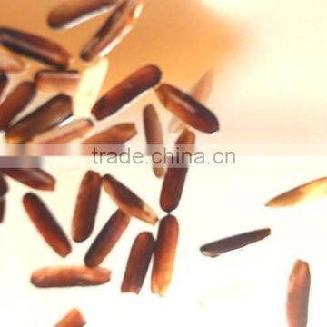 Thai Organic Rice photo-3