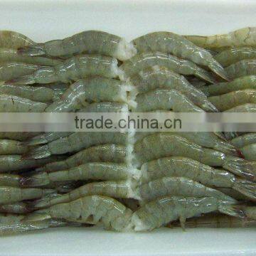 Frozen Raw Vannamei Shrimp, headless, shell-on (703)