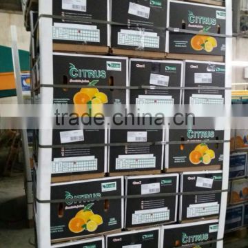 Orange Yellow Color and Common Cultivation Type citrus fruit 2017