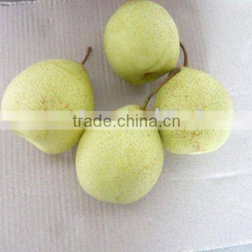 96 fresh pear China Shandong