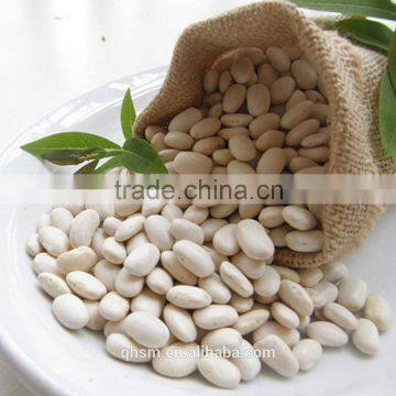 2014 crop white kidney bean