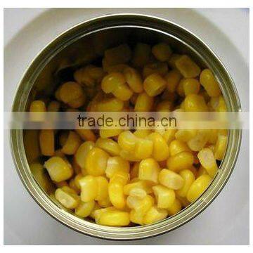 sweet organic corn kernel in brine