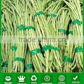 NBE01 Taoya long shape green color OP bean seeds for planting