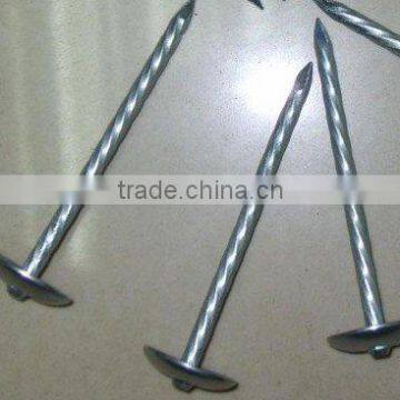 Galvanized Roofing Nails