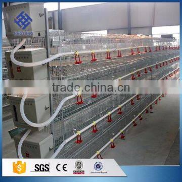 30 Years' Factory Supply Automatic Layer Chicken Cage photo-5