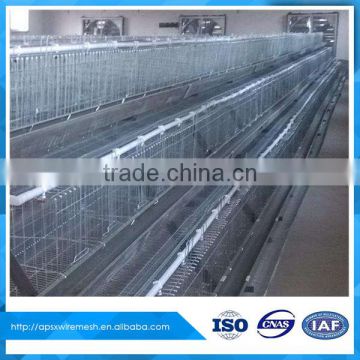 chicken farm hen layer cage for chicken feeding