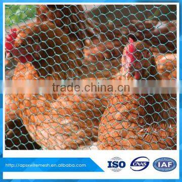 Chicken Coop Hexagonal Wire Mesh