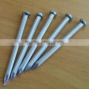 Top Quality Concrete Steel Nails / All Kinds of Nails