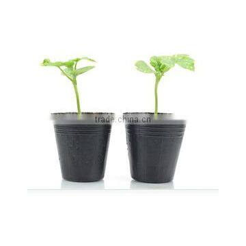 pe black plastic garden pot