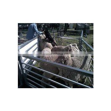 Simple Installation of Movable Steel Cattle Fence photo-5