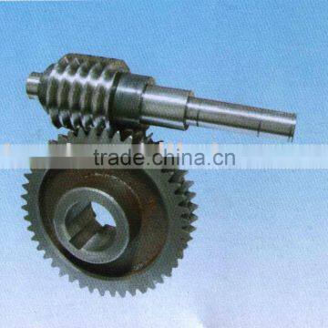 Worm Bevel Gear