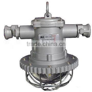 DSG18/127L(A) Cone Laneway Led Light photo-3