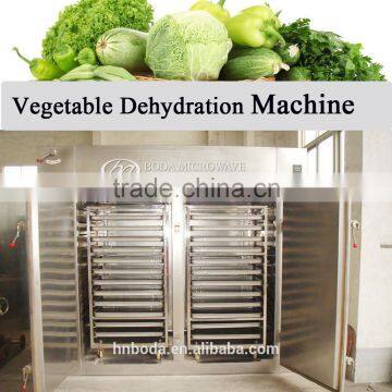 ISO CE Certificate vegetable dehydration Machine