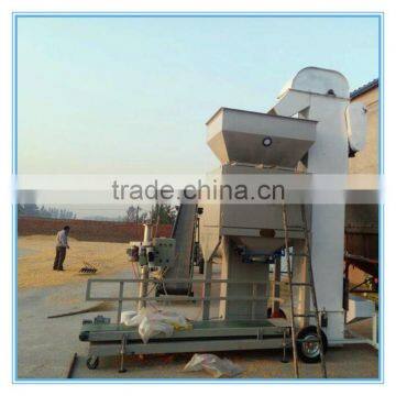 China High Accuracy Granular Type 50kg 100kg Grain Packaging Machine in Hot Sale