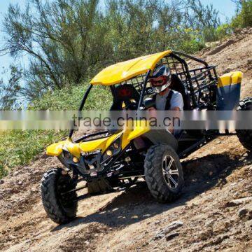 renli 1100cc desert cart from China