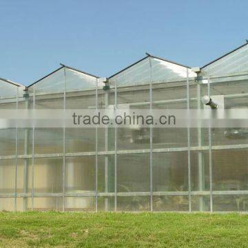 Venlo Design Plastic Sheet Polycarbonate Greenhouse Structure