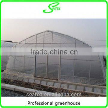 Plastic Film Cover Steel Frame Used Greenhouse photo-5