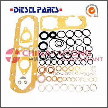 Fuel Engine Ve Pump Repair Kit 2 417 010 003 Distributor Repair Kit Injector Parts from China