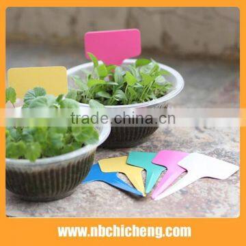 Garden Flower Markers Plastic Custom Plant Labels Printable Plastic Labels photo-4
