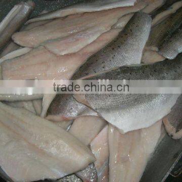 Frozen Seabass Fillets 50-100g Lateolabrax Japinicus photo-2