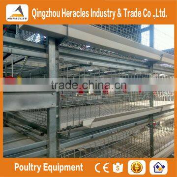 Shandong Trade Assurance Poultry Farming Equipment Automatic Chicken Layer Cage for Sale in Philippines photo-2