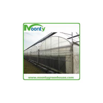 Multi-span Film Greenhouse