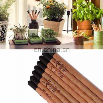 natural funny promotion wood flower fruit grass seeds sprout plant pencil with seeds