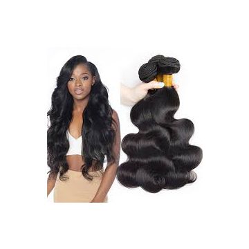 Malaysian 16 18 20 Inch Curly Human Hair Wigs Long Lasting