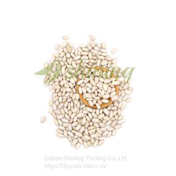 White Kidney Beans Bashake Long Shape photo-2