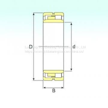 180x250x69 bearing