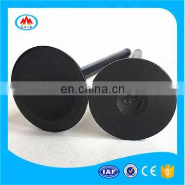 Top Quality Car Spare Parts Engine Valve for BMW N42 N43 N52 N53