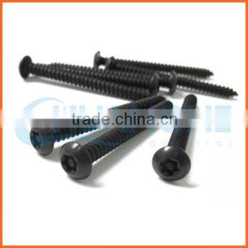 China Supplier Carbon Steel Six Lobe Tamper Anti-theft Screws photo-4